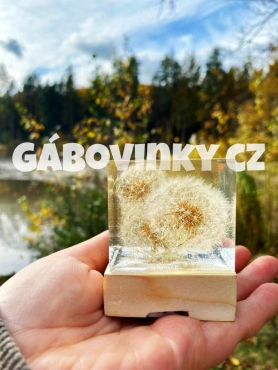 Gabovinky jaro 2024 hero image