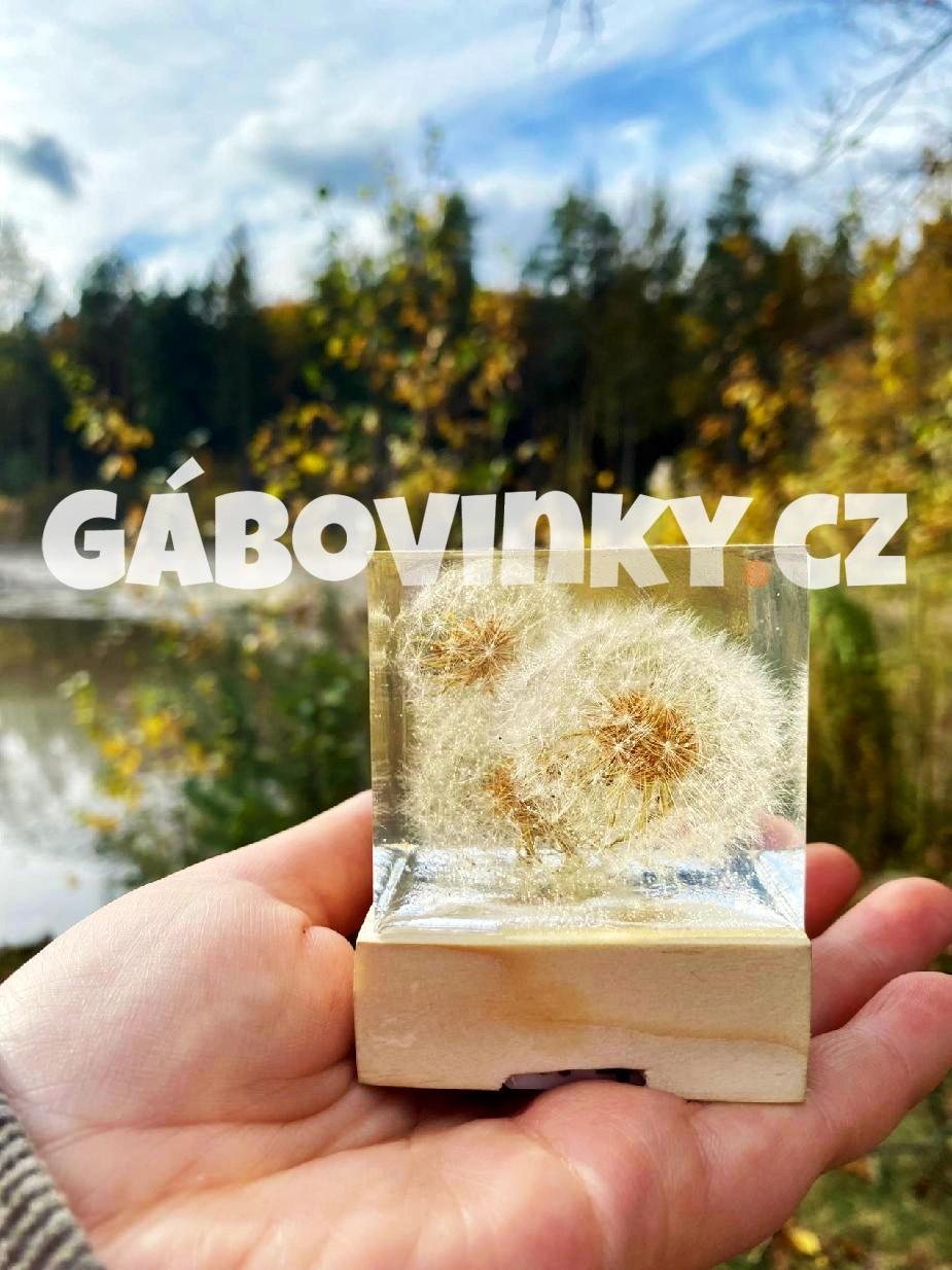 Gabovinky jaro 2024 hero image